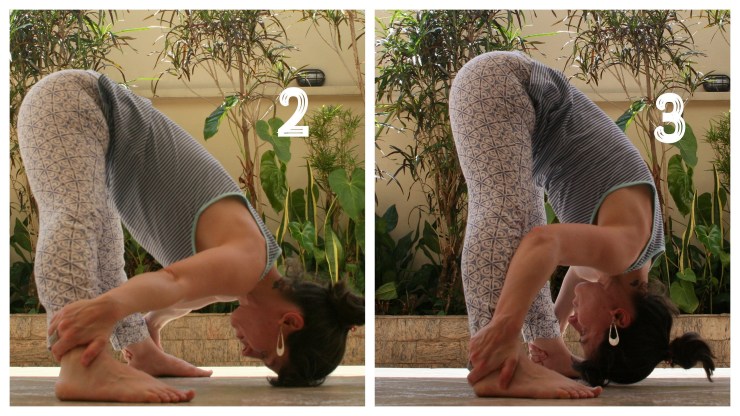 prasarita-padottanasana-2-e-3-diminuida
